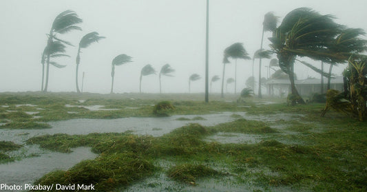 Hurricane Idalia Makes Historic Landfall in Florida Wednesday Morning As Category 3 Storm