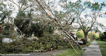 Hurricane Isaias Kills At Least 4 and Leaves Hundreds of Thousands Without Power