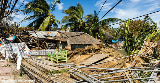 Collapsed structures and debris in a storm-damaged area with palm trees and blue sky.