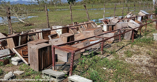 Abandoned wooden beehives stacked along a metal railing in a grassy field.