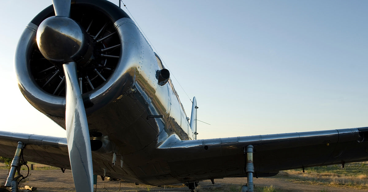 Uncovering John Fisher's B-17 Wreckage, 80 Years After War | The Animal Rescue Site