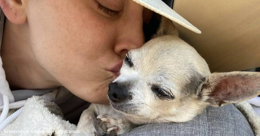 Kaley Cuoco Mourns Beloved Chihuahua "Dump Truck" With Heartfelt Post