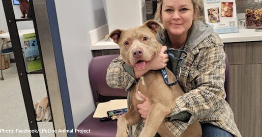 Dog Surrendered To Shelter When Dad Was Deployed Finds His Way Back To Family Months Later