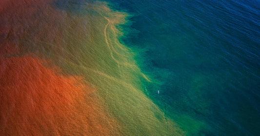 Kīlauea Eruption Sparks Ocean Bloom Visible From Space
