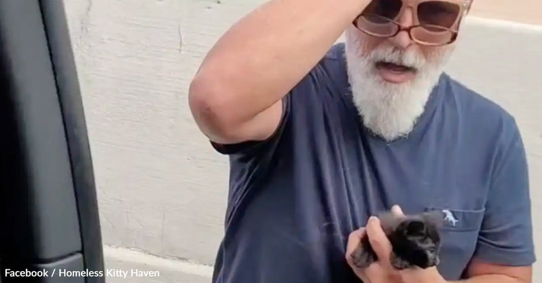 Man holding a small black kitten, looking surprised with sunglasses in hand.