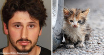 Left: Mugshot of a man with dark hair and facial hair labeled Homewood Police Department; Right: Dirty kitten sitting on gravel near a vehicle tire.