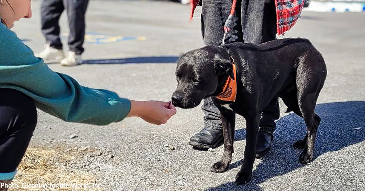 Pet Owners Impacted By Devastating Kentucky Floods Receive Much Needed pet-owners-impacted-by-devastating-kentucky-floods-receive-much-needed