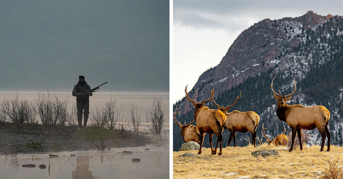 Arizona Hunting Guide In Federal Prison for Orchestrating Widespread ...