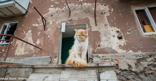 Russia Launches Largest Three-Day Aerial Attack on Ukraine - With No End in Sight