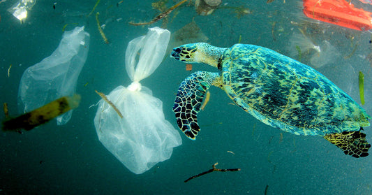 A sea turtle navigating through murky water filled with plastic bags, fragments, and floating litter.