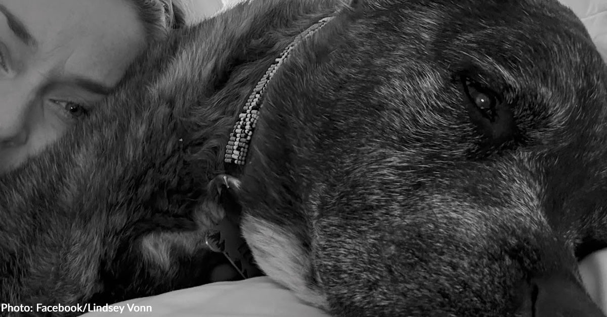 Lindsey Vonn Shares Her Beloved Canine Leo Died One Day After Her Olympic Crash Lindsey Vonn Shares Her Beloved Canine Leo Died One Day After Her Olympic Crash