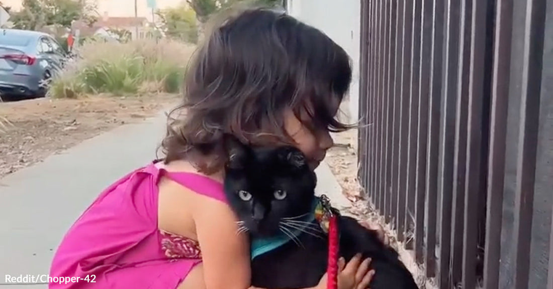 Young girl in a pink dress hugs a black cat with white whiskers while standing on a sidewalk.