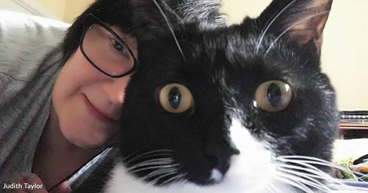 Cat Comforts Her Human As She Deals with Breast Cancer and Her Husband's Death