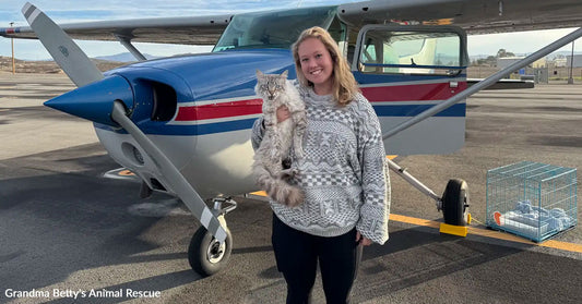 Woman holding a cat stands beside a small airplane on an airport runway.