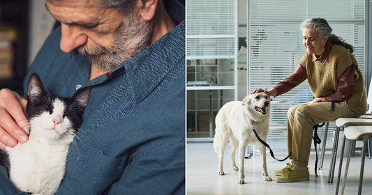 On the left, an older bearded man in a blue shirt cradles a black-and-white cat indoors; on the right, a gray-haired woman pets a white dog on a leash in.