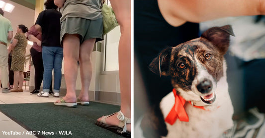 Heatwave Heroes Empty Ailing Shelter in Record Time After AC Breaks