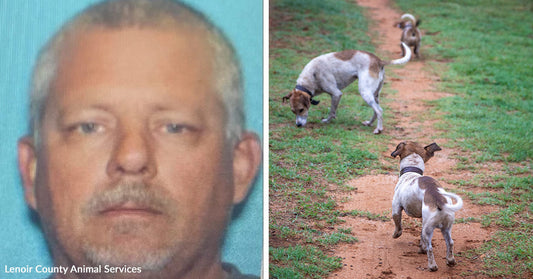 Mugshot of a man next to an image of three dogs walking away on a dirt trail.