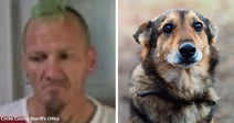Split image showing a mugshot of a man beside a close-up of a brown dog looking upward.