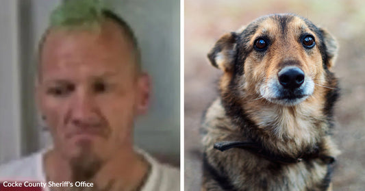 Split image showing a mugshot of a man beside a close-up of a brown dog looking upward.