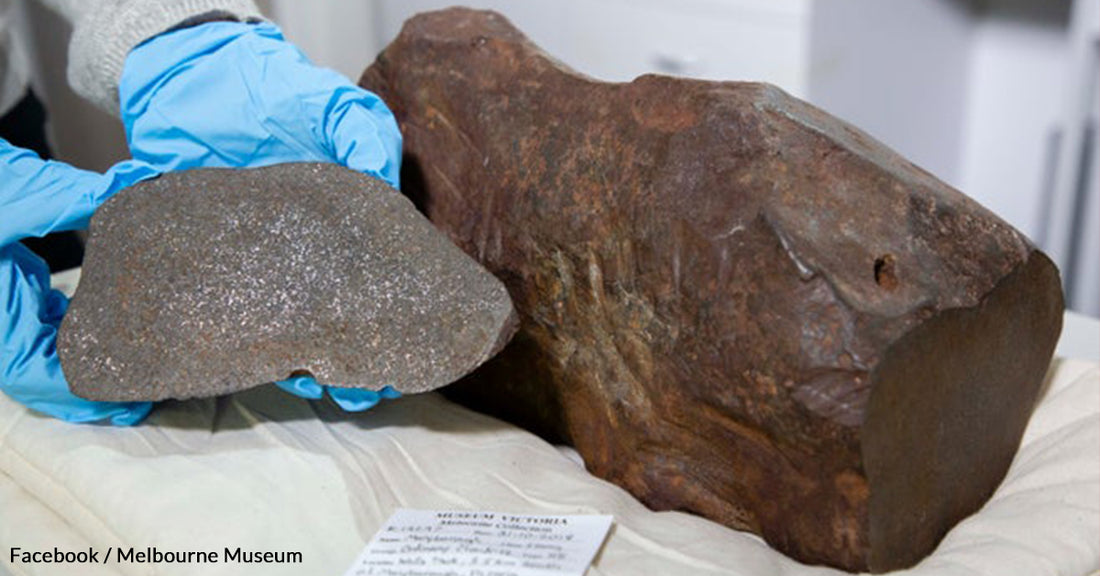 Man Found Something Much More Valuable Than Gold While Metal Detecting In A Park In Australia