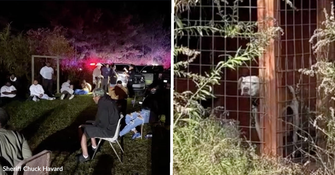 Split nighttime image showing a group of people gathered near police vehicles on the left and a dog standing behind a wire enclosure on the right.