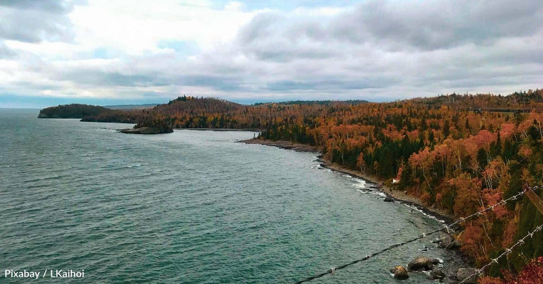 This Earth Month, Help Us Plant Trees Along an Iconic Great Lake Shoreline