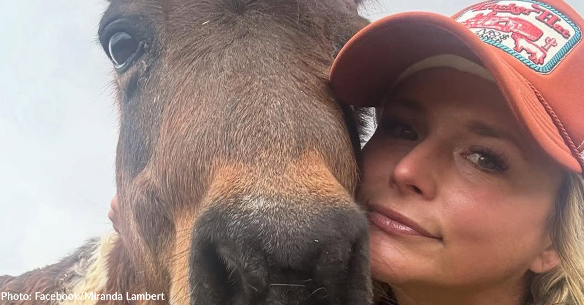 Miranda Lambert Mourns Lack of Her Mini Horses, Sugar Pie and Adrianna