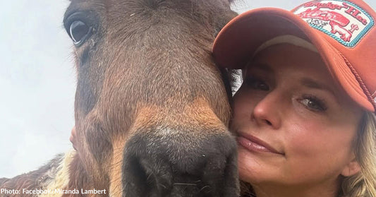 Miranda Lambert Mourns Loss of Her Mini Horses, Sugar Pie and Adrianna