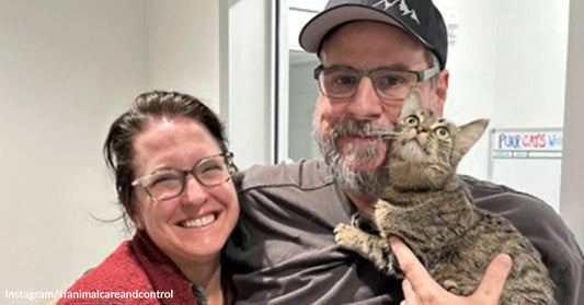 Smiling couple holding a tabby cat indoors, posing closely together.