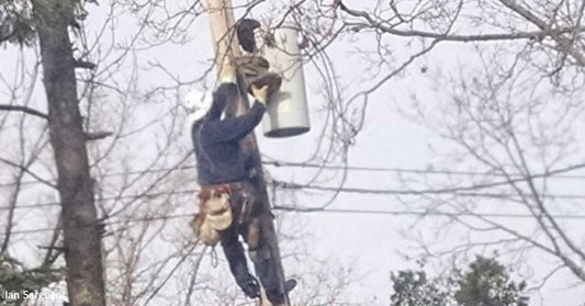 Neighborhood's Power Shut Off After Cat Climbs Utility Pole