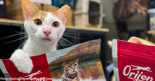 Shelter Pets Across the Country Have Full Bellies, Thanks to Your Support