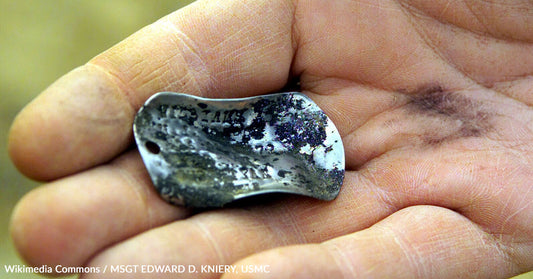 How a College Course in Vietnam Brought a Veteran's Dog Tags Back to His Family