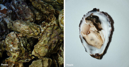 Acidic Oceans Are Causing Oysters To Become Female