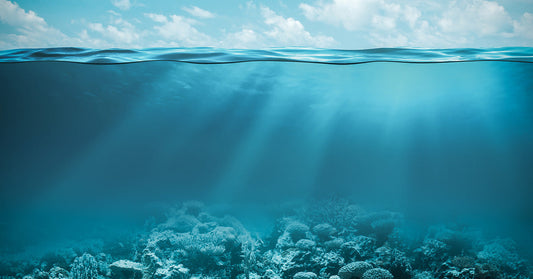 Underwater view of a coral reef with beams of sunlight streaming through the calm ocean surface.