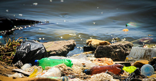 Mine Dumping and Garbage Leave Marine Life Fighting to Survive