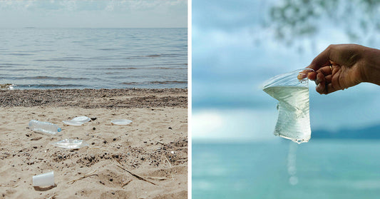 Nanoplastic Swarm Turns Marine Sanctuaries into Silent Toxic Zones