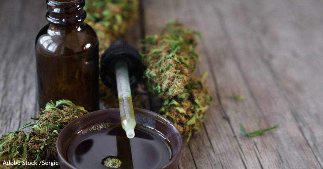 Oncologists Aren't Trained Enough on Medical Cannabis, Study Finds