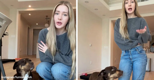 Split image of a woman indoors speaking beside a black-and-tan dog sitting at her side.