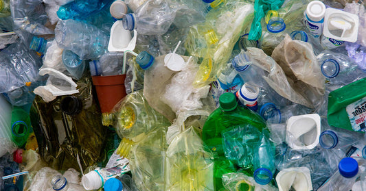 How The Great Pacific Garbage Patch Threatens Marine Life and Human Health