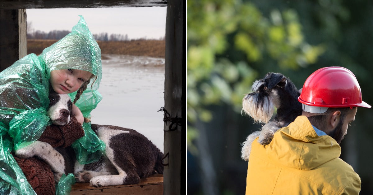 Millions of Americans Risk Their Lives to Stay With Pets During Disasters
