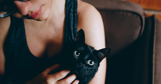 Pets Were Dumped in a Landfill as Funeral Home Owner Collected Cremation Fees