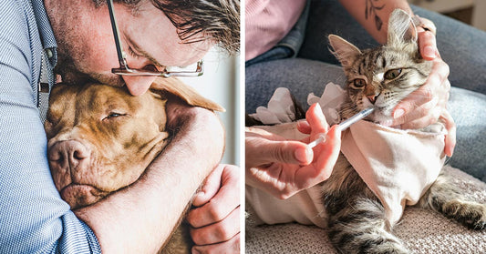 Split image showing a man hugging a dog on the left and a person giving liquid medicine to a cat on the right.