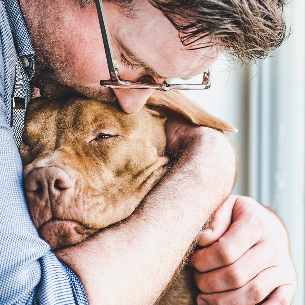 Man wearing glasses gently hugs a brown dog close to his chest, resting his forehead against the dog’s head.