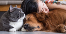 A young woman rests her head on a golden retriever lying on a floor while a gray cat sits beside them.