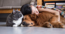 A young woman rests her head on a golden retriever lying on a floor while a gray cat sits beside them.