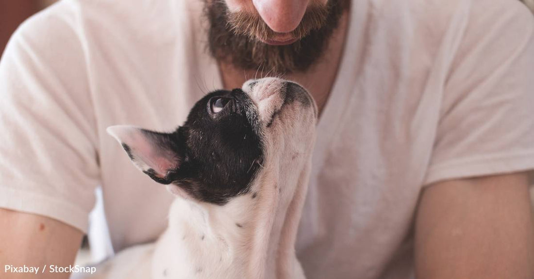 84 Percent of Pet Owners Say Their Pets Positively Impact Their Mental Health