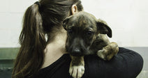 Person holding a small puppy over their shoulder inside a kennel or shelter environment.