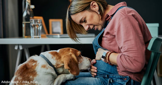 Most Moms Say Their Pet Showed Signs They Knew They Were Pregnant