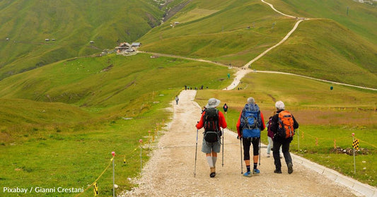 Physical Activity in Nature Found to Prevent Thousands of Illnesses Each Year