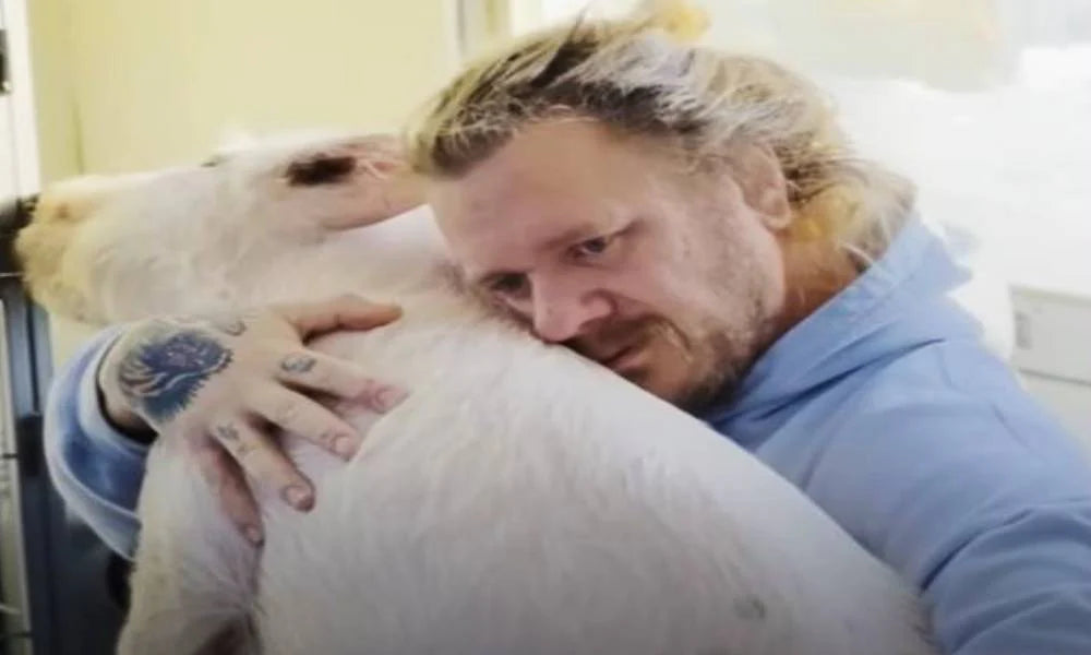 How Do You Get a Lovable Rescue Pig to Sleep? Give Her a Kiss and a Dozen Warm Blankets